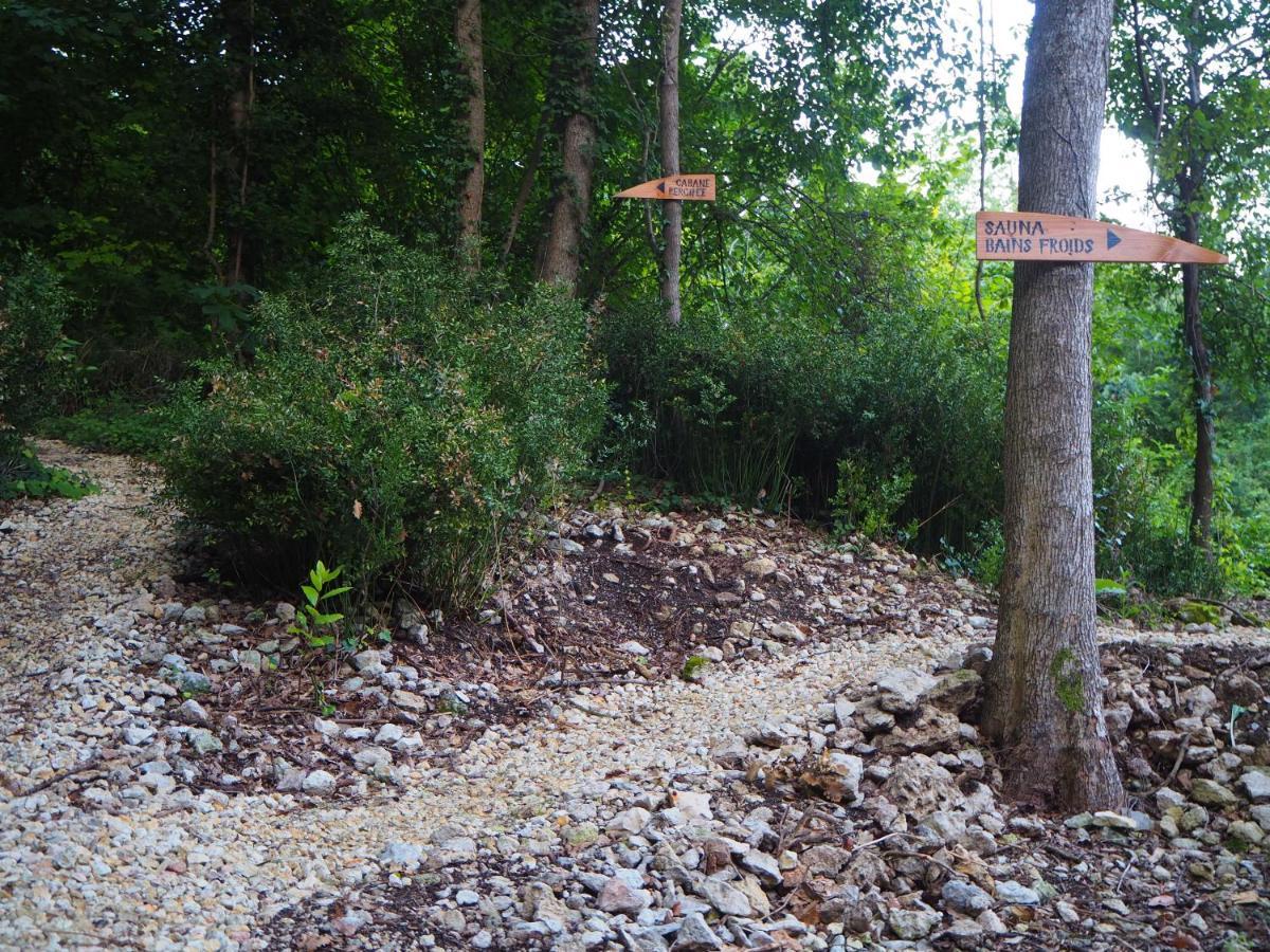 L'isle-Bouzon Maison Terre Les Cabanes De Fallot - Sauna Bain-Froid Piscine Naturelle מראה חיצוני תמונה