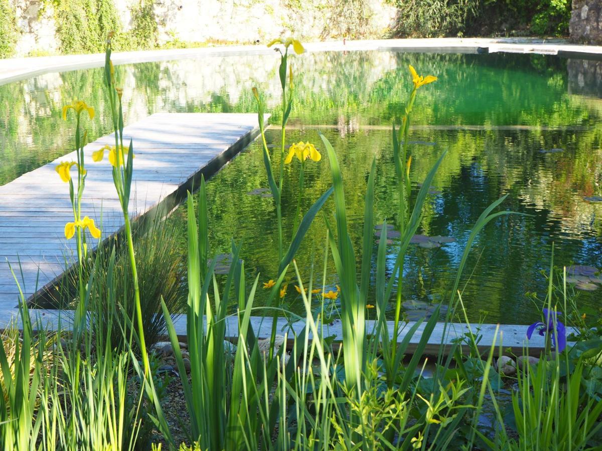 L'isle-Bouzon Maison Terre Les Cabanes De Fallot - Sauna Bain-Froid Piscine Naturelle מראה חיצוני תמונה