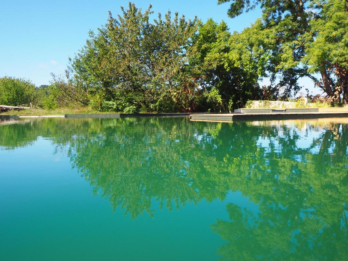 L'isle-Bouzon Maison Terre Les Cabanes De Fallot - Sauna Bain-Froid Piscine Naturelle מראה חיצוני תמונה